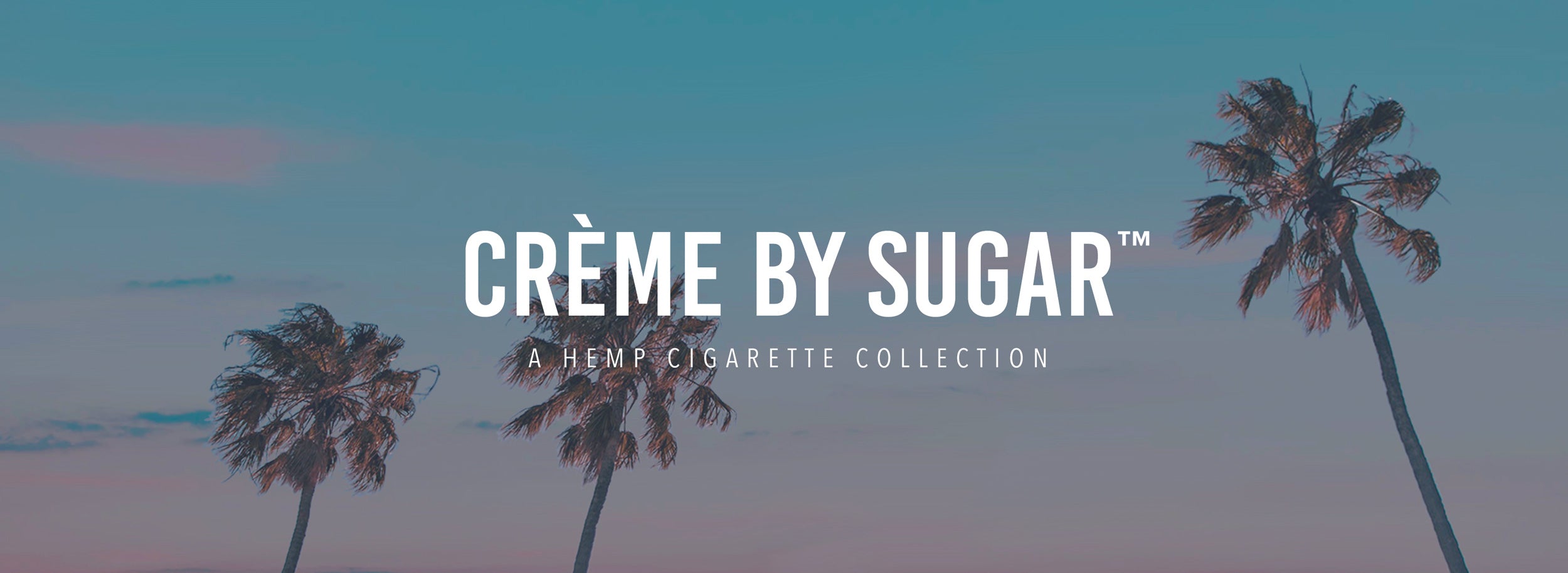 palm tree teal and pink sky