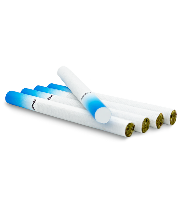 can smoking cigarettes cause hair loss Can Nicotine Cause Hair Loss? Here's Everything You Need To Know   Scandinavianbiolabs.co.uk